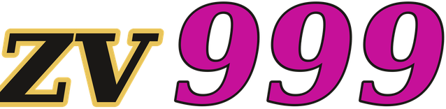 zv999 logo